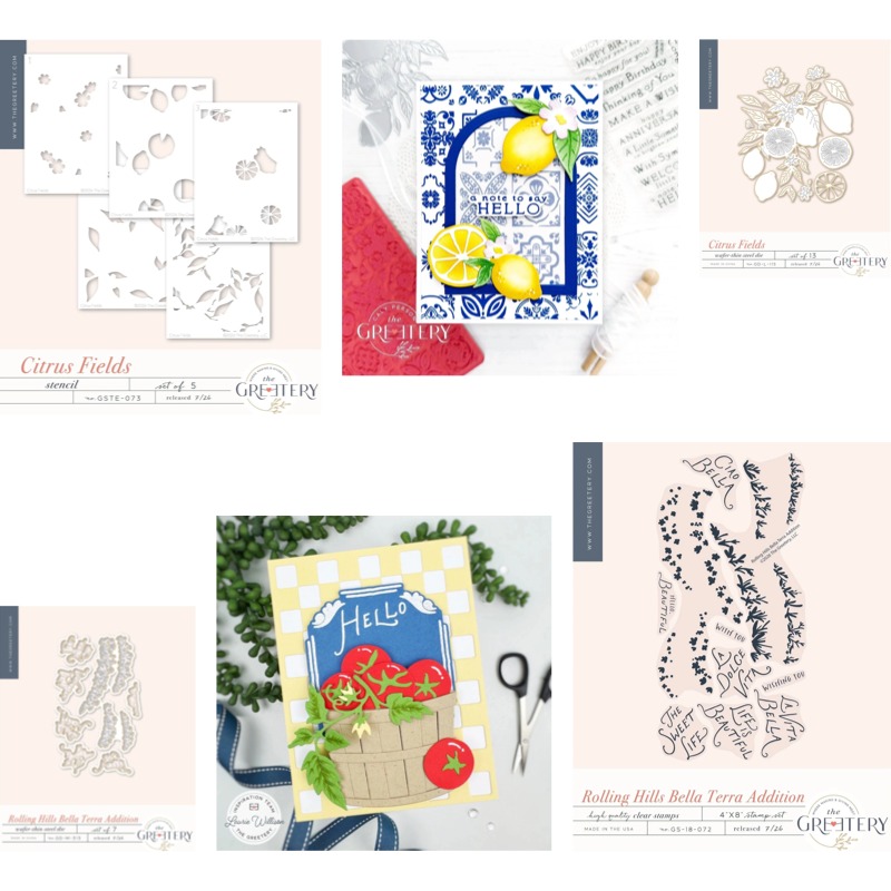 Checks Out Citrus Fields Clear - Clear Silicone Stamps For Card Making recension och pris